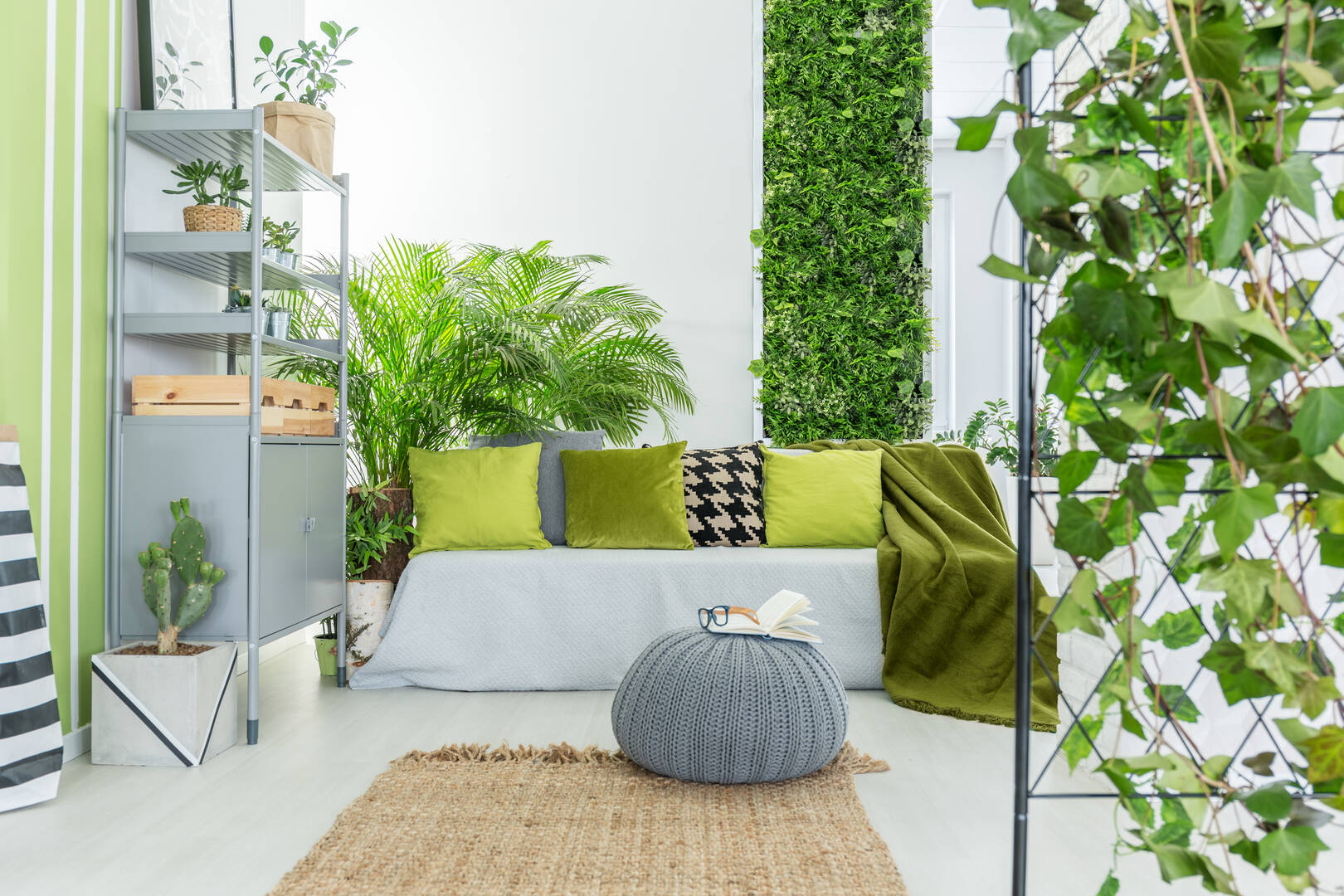 Blinds For Less
