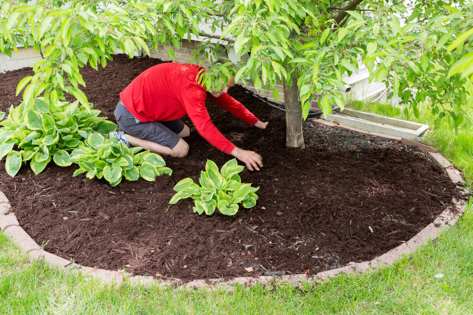 Mariposa Landscape & Tree Service Inc.