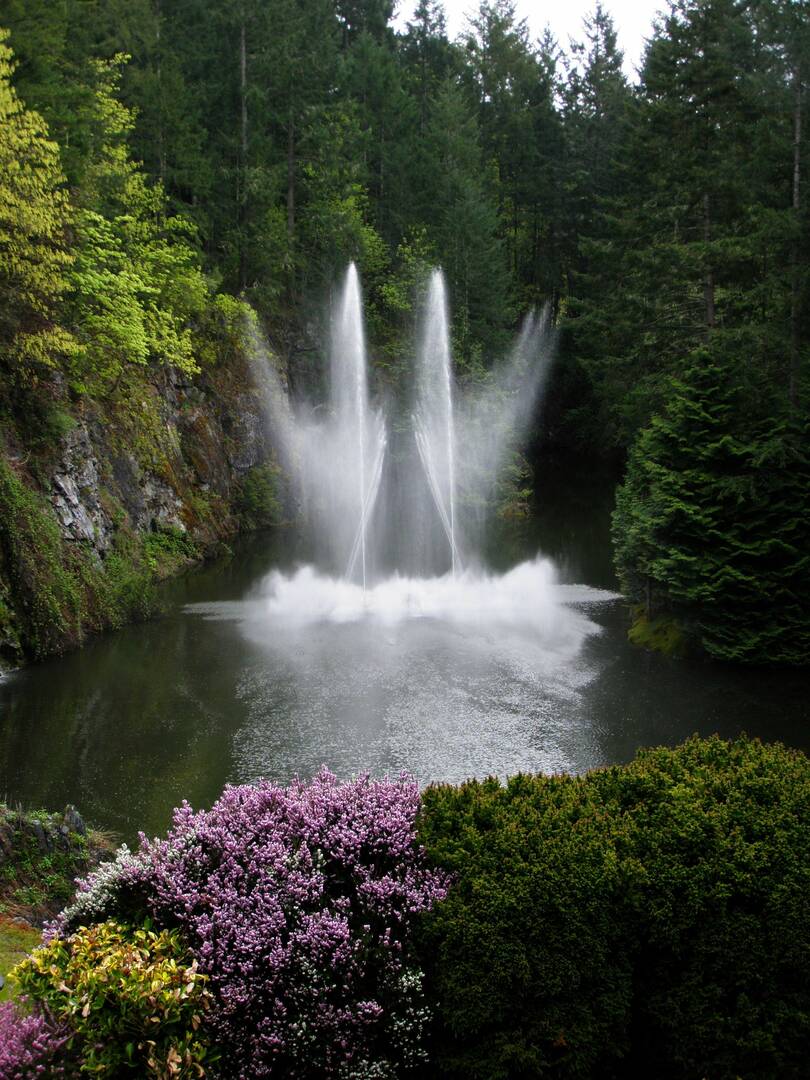 Maintenance Free Landscapes