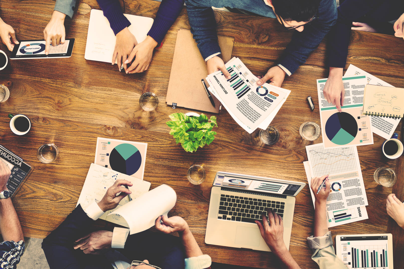 The Xcite Group
