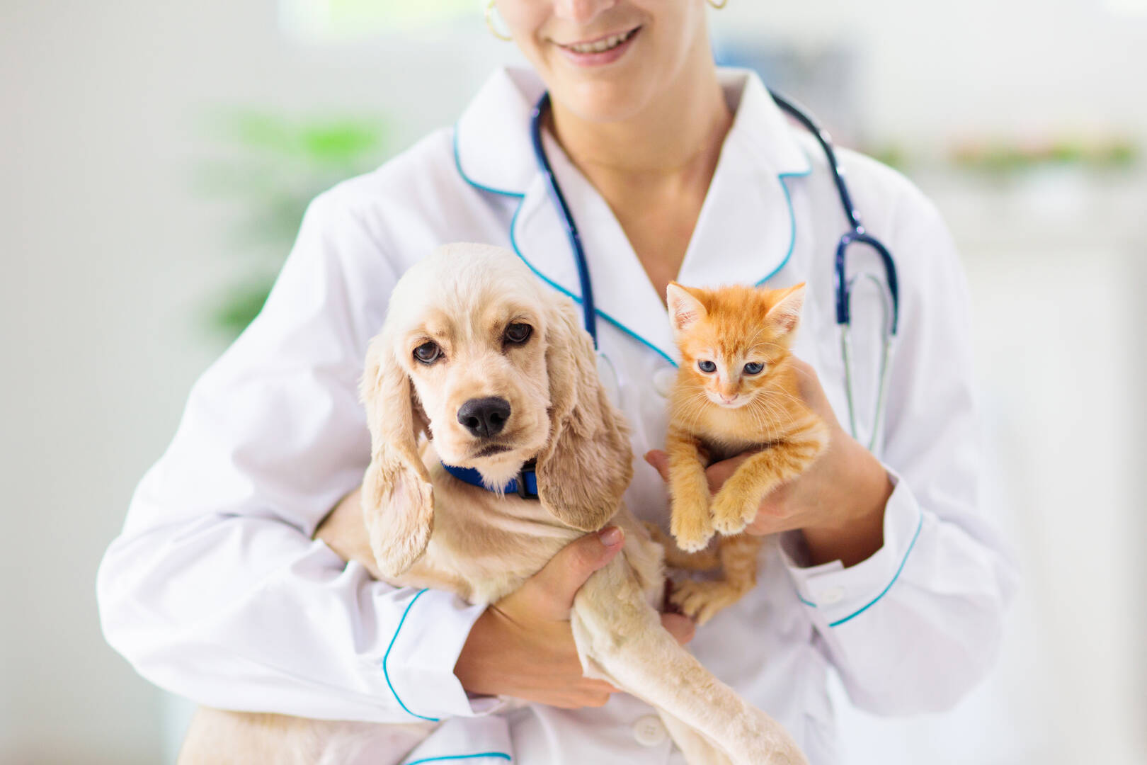 Melton Veterinary Clinic