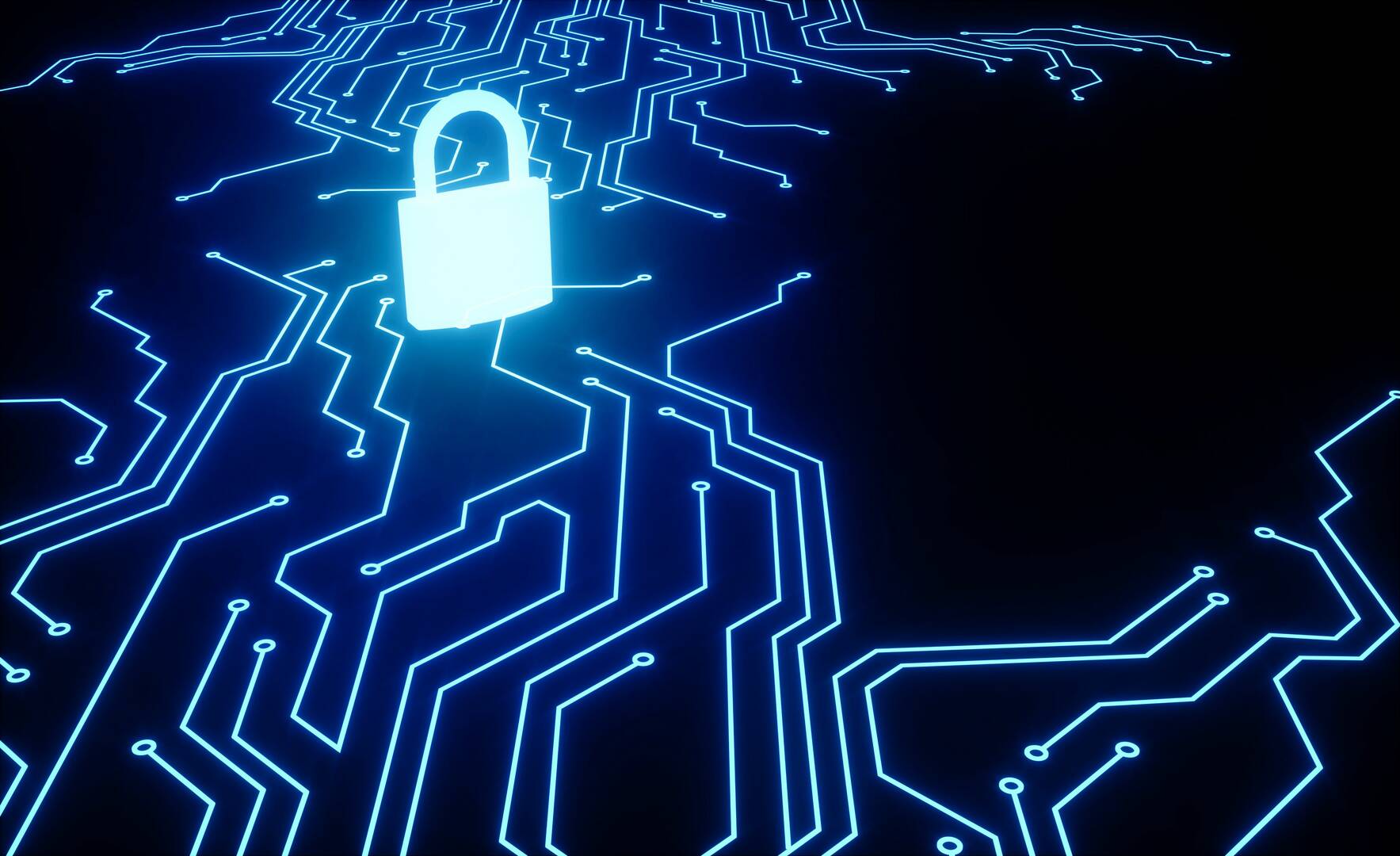DuPage Security Solutions, Inc.